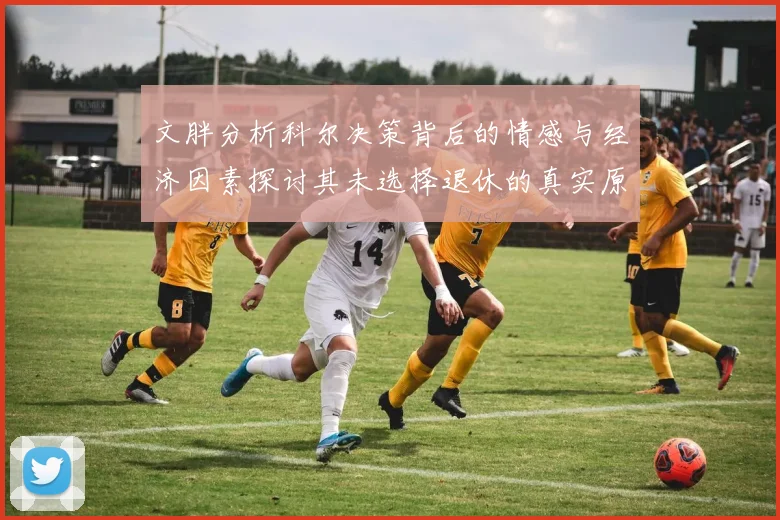 文胖分析科尔决策背后的情感与经济因素探讨其未选择退休的真实原因